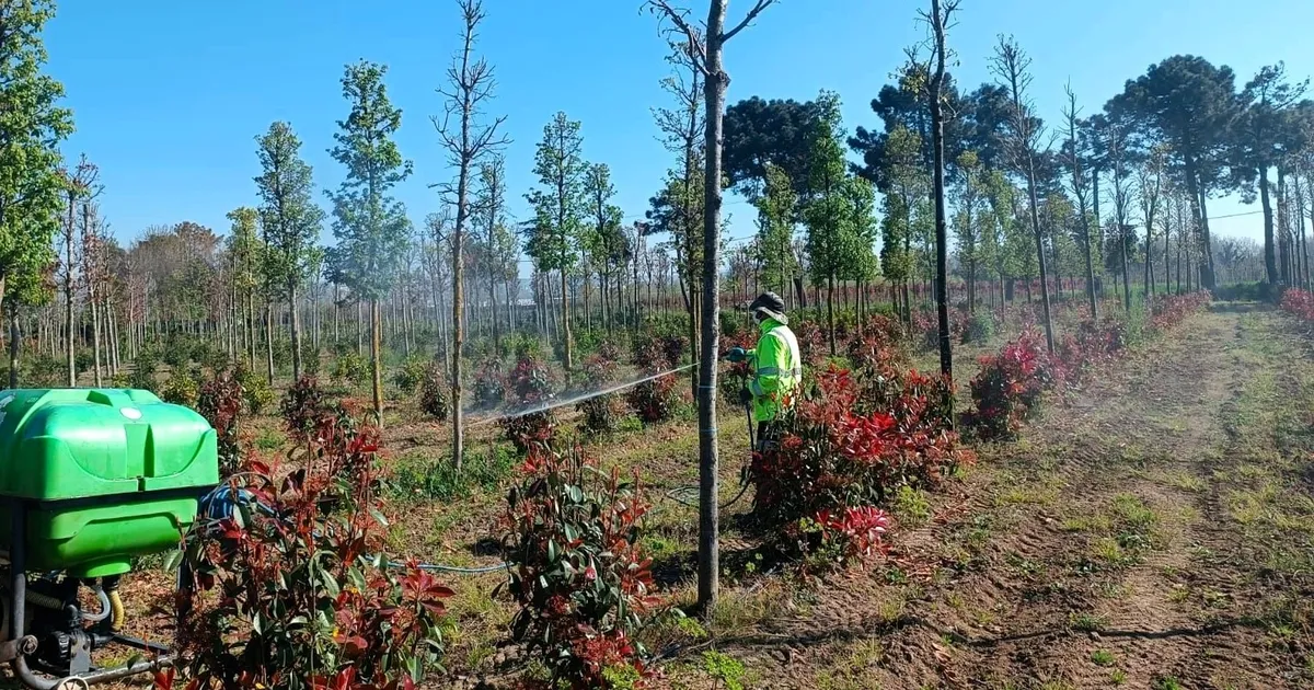 Kocaeli'de fidanlara koruyucu müdahale