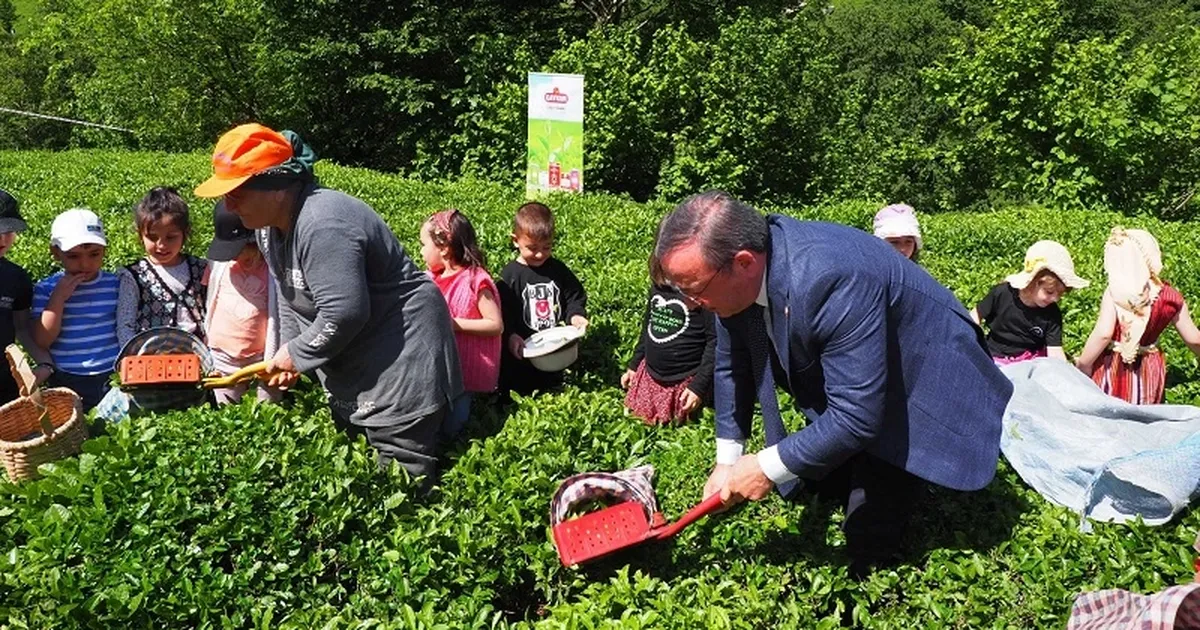 Çay İşletmeleri'ne personel atamalarında 40 yaş şartı aranmayacak