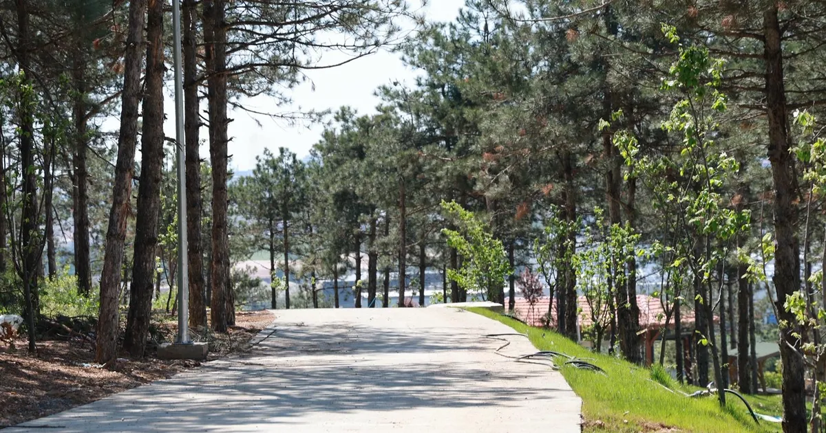 Pelitli Bayraktepe Mesire Alanı’nda çalışmalar tam gaz