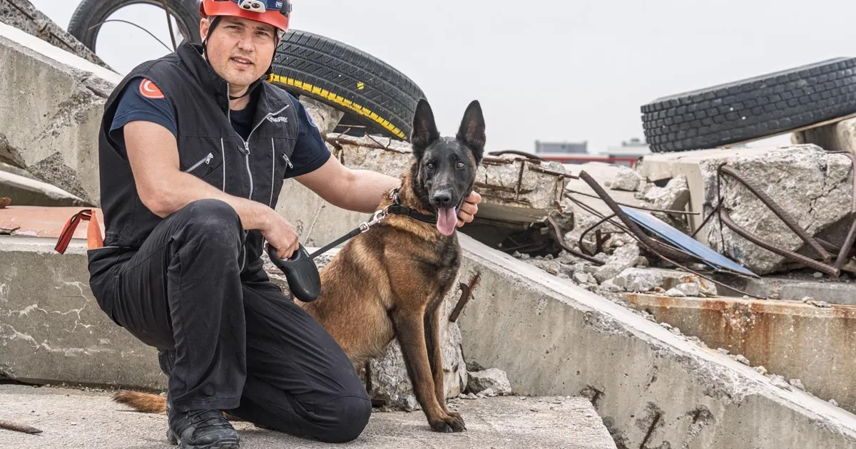 İzmir'de Momo enkaz için eğitiliyor