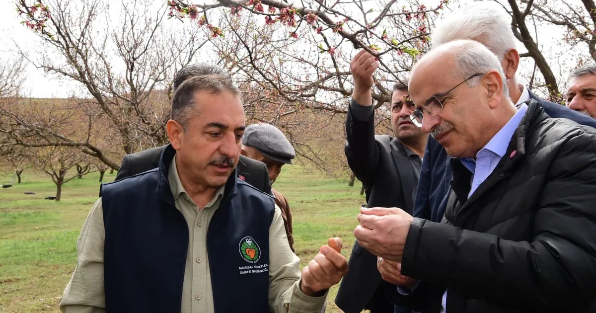 Malatya’da dolu felaketi sonrası yerinde tespit... Yaraları birlikte saracağız