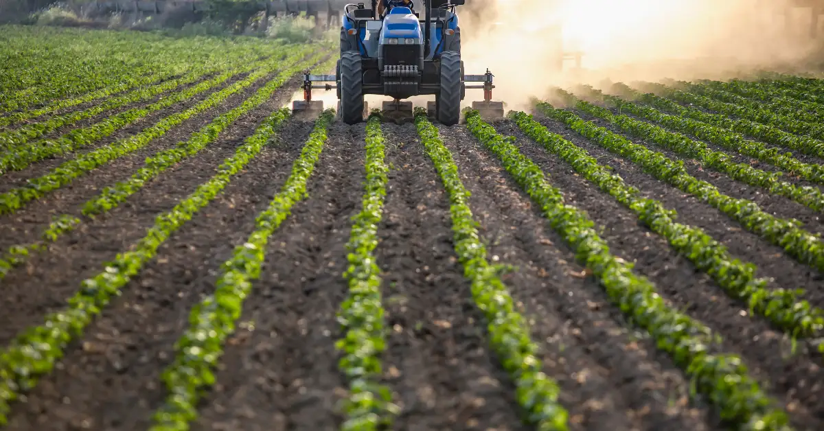 Tarımda bereket: Yağışlar 38 yılın rekorunu kırdı