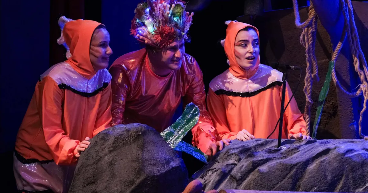 Kocaeli'de minik kalpler, Körfez’in dipten dirilişine tanık oldu - Gündem Haberleri