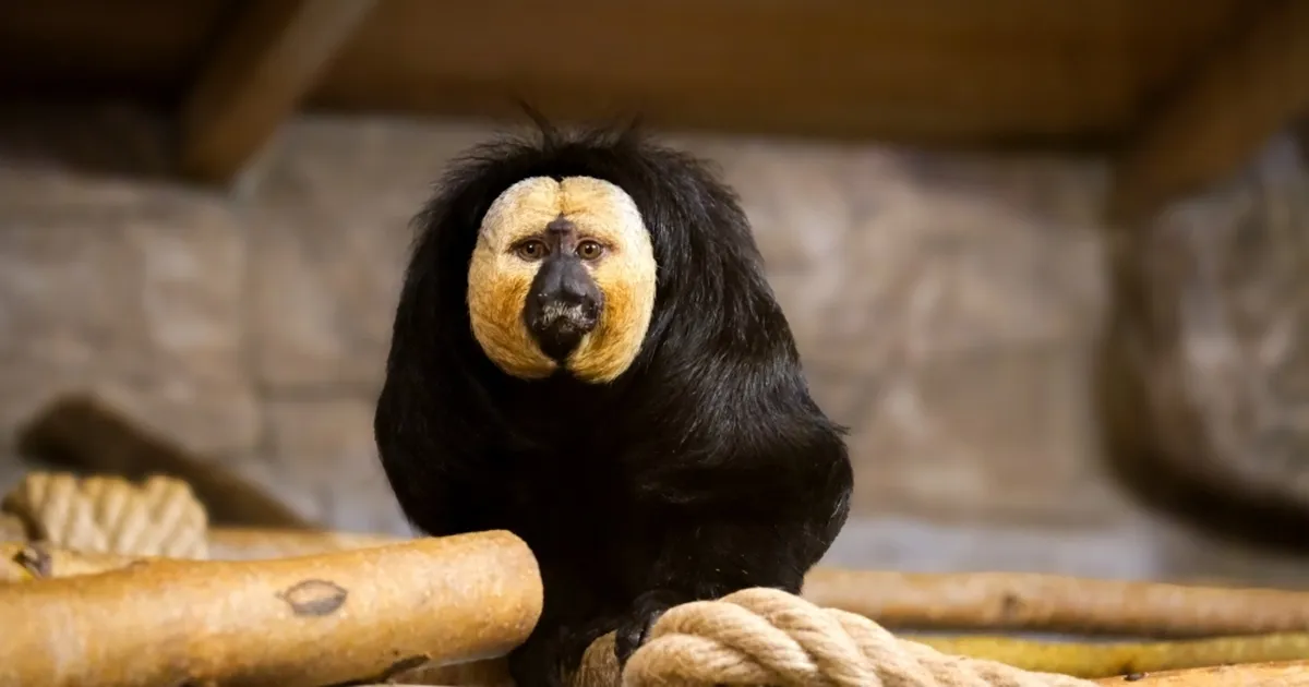 Eskişehir Hayvanat Bahçesi’ne 30 yeni tür kazandırıldı