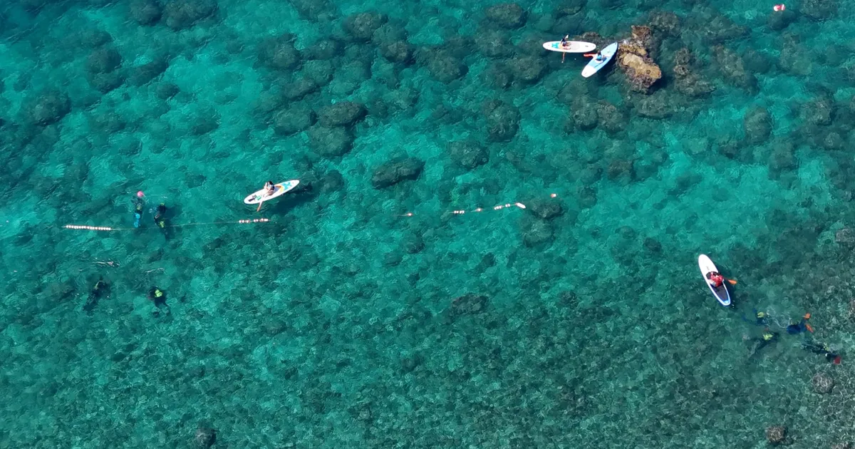 Antalya Muratpaşa’da deniz dibi temizliği