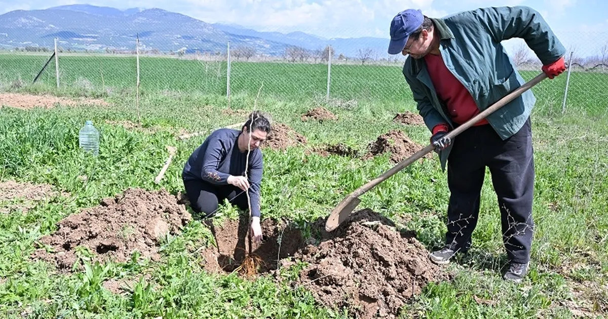 Antalya Büyükşehir ipek böceği yetiştiriciliğini yaygınlaştırıyor - Ekonomi Haberleri