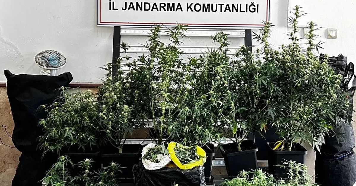 Bursa’da kilolarca esrar ve skunk ele geçirildi