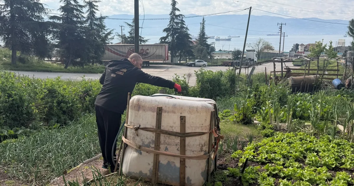 Kocaeli’de sivrisinek ve karasinekle yoğun mücadele