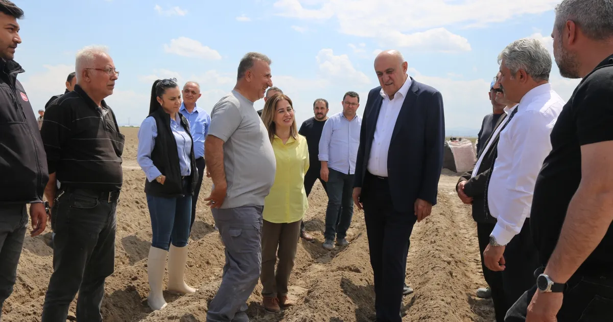Konya’da patates atağı... İthal tohum dönemi sona eriyor