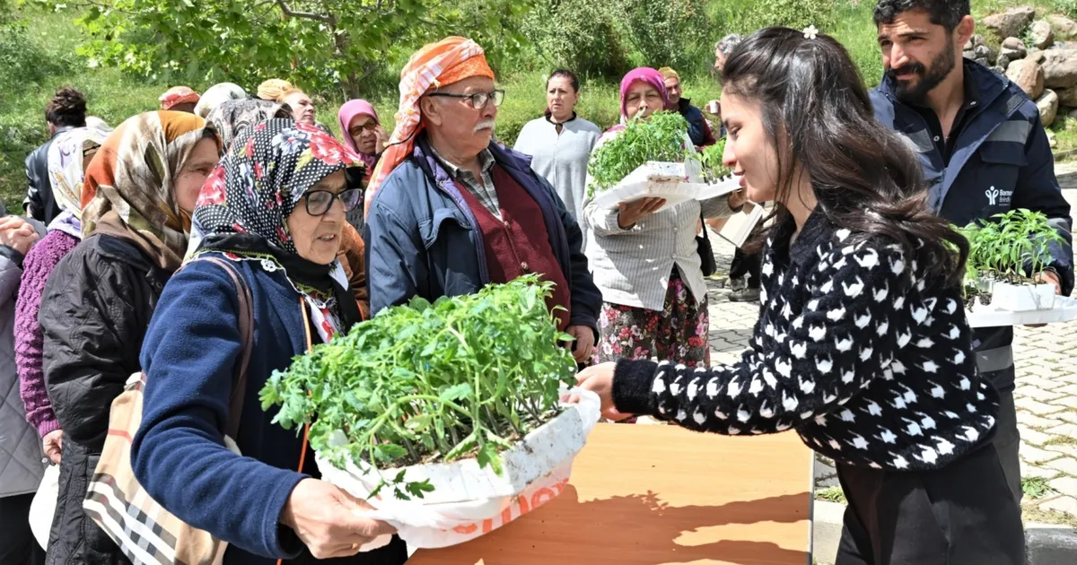İzmir Bornova'da 150 bin yazlık sebze fidesi dağıtıldı