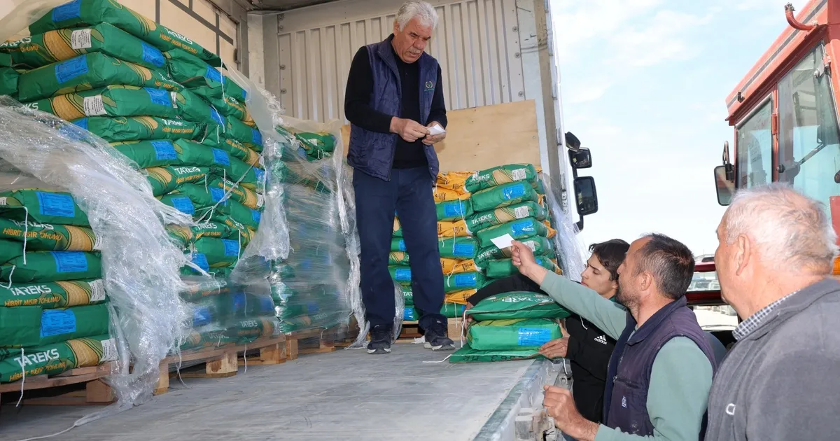 Kocaeli'de traktörler tarlalara indi, mısır ekimi başladı