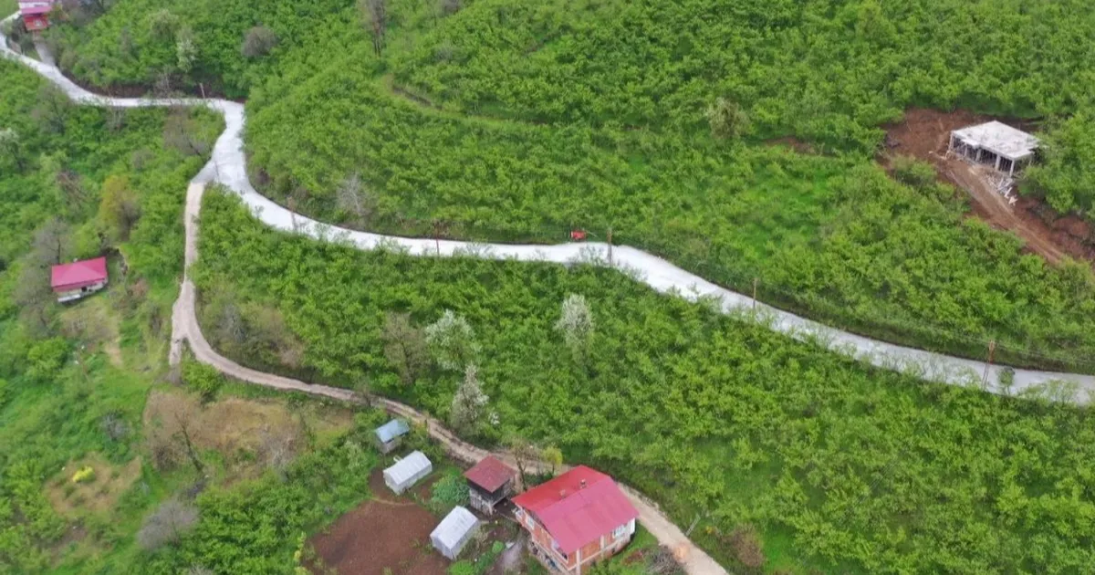 Ordu Kumru’da beton yol çalışması