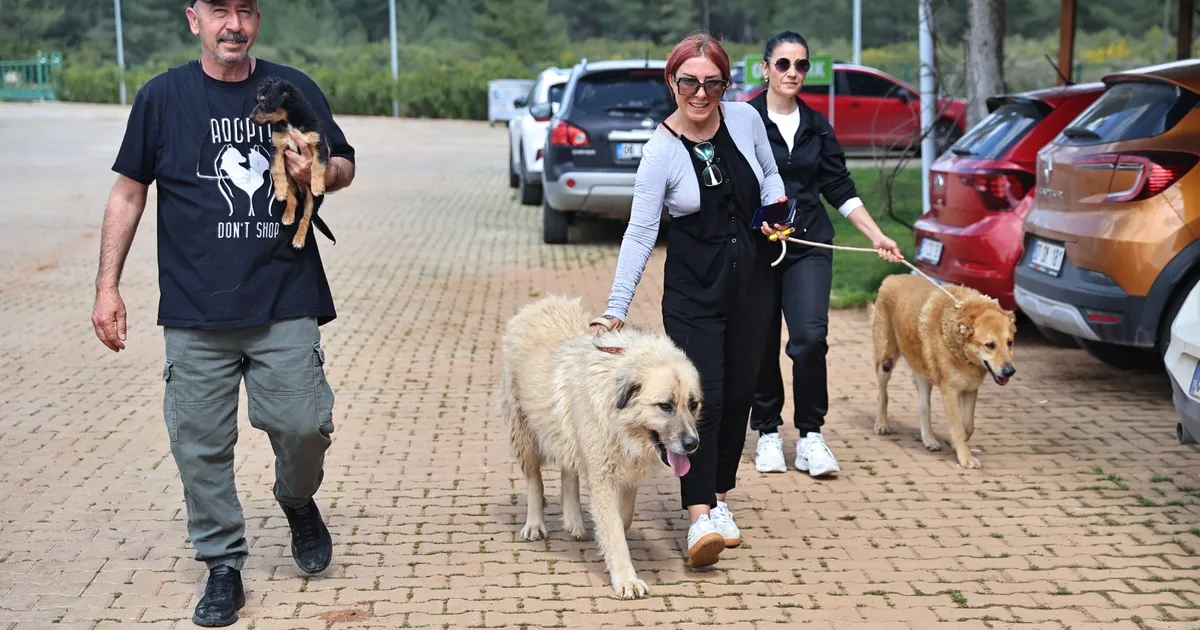 Antalya'da can dostlar sıcak yuvalarına kavuşuyor