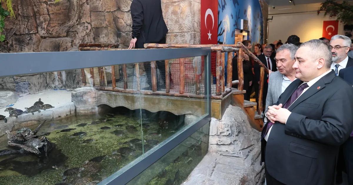 Ankara Keçiören’de yenilenen Deniz Dünyası açıldı - Gündem Haberleri