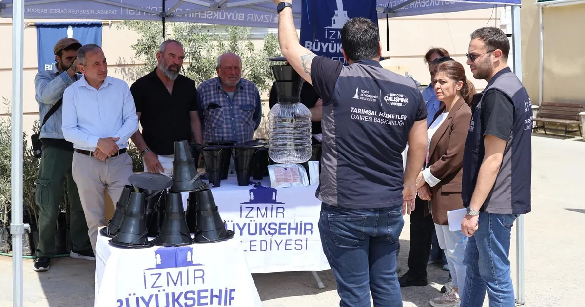 İzmir'de kahverengi kokarca böceğine karşı tuzak