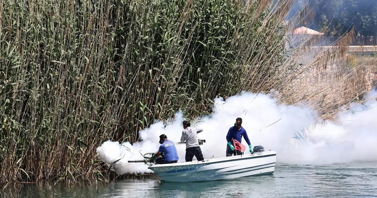 Antalya’da denizden karaya ilaçlama yapılıyor
