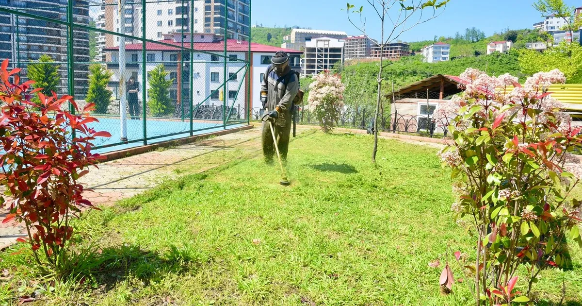Giresun'da yaz mesaisine hız verildi