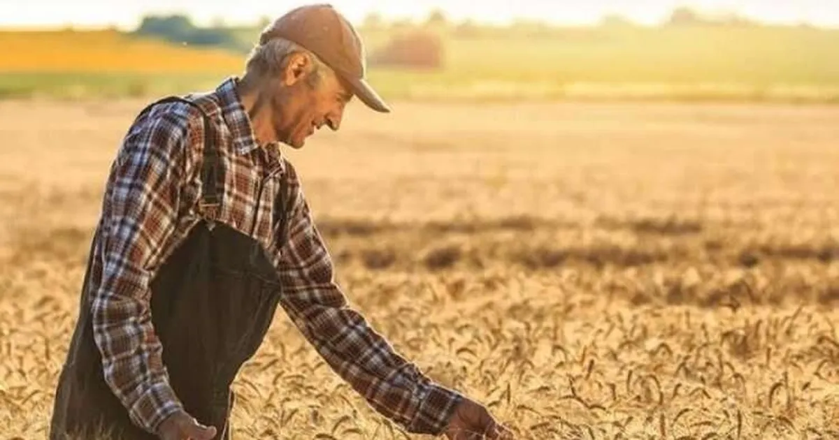 Tarım ürünlerinde fiyat artışı sürüyor... Tarım-ÜFE yıllık yüzde 42,53 yükseldi