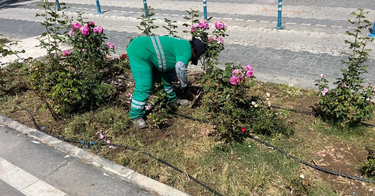 Muğla Milas'ta bayram öncesi bakım