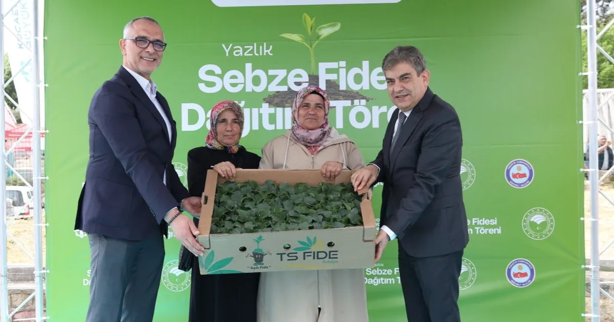 Gebzeli çiftçiye 500 bin sebze fidesi desteği - Gündem Haberleri