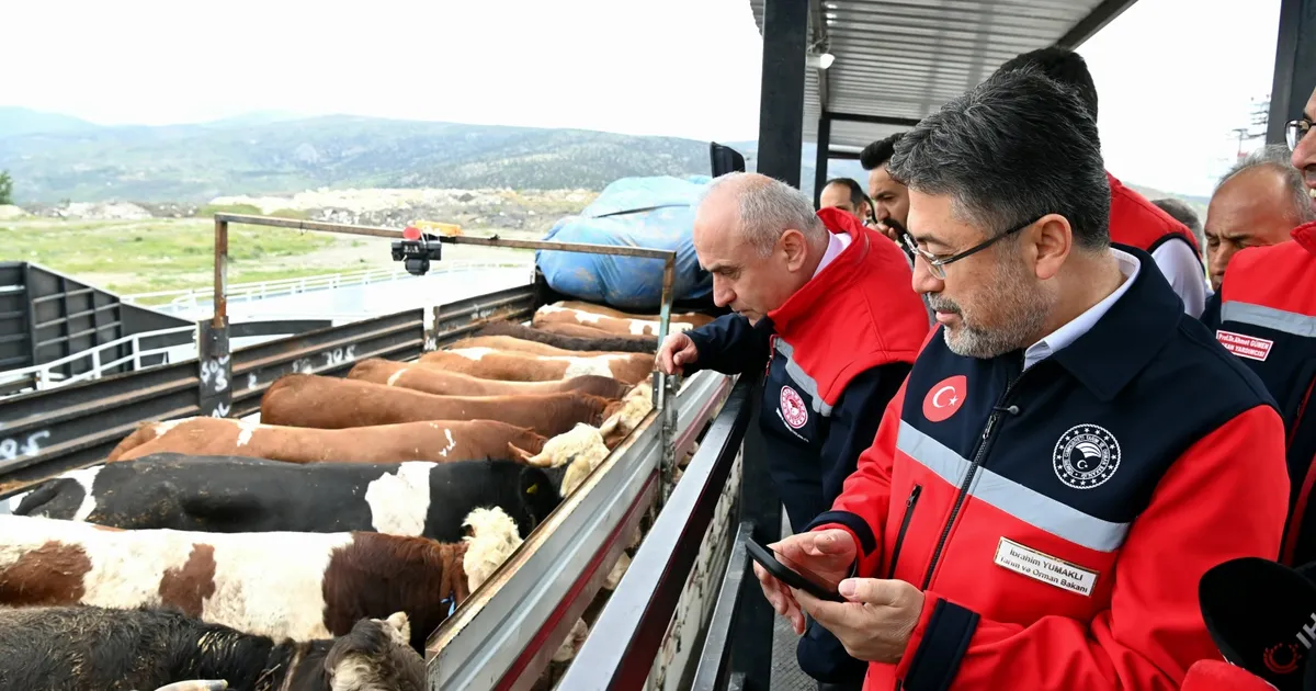 Kurbanlık sevklere 7/24 denetim!
