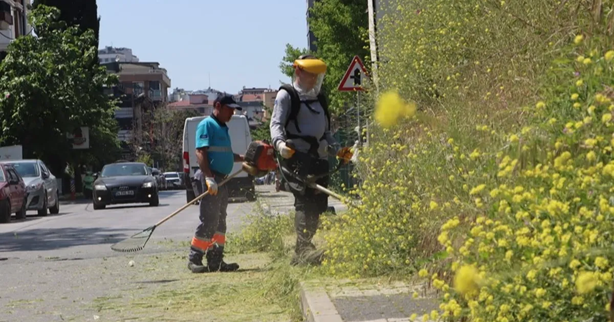 İstanbul Maltepe’de çevre düzenleme çalışmaları sürüyor