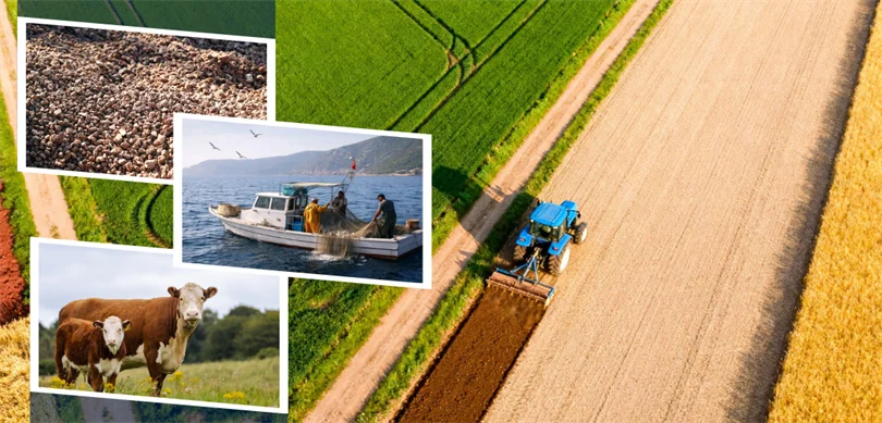3.7 Milyar Liralık Destekleme Ödemesi Hesaplara Aktarılıyor