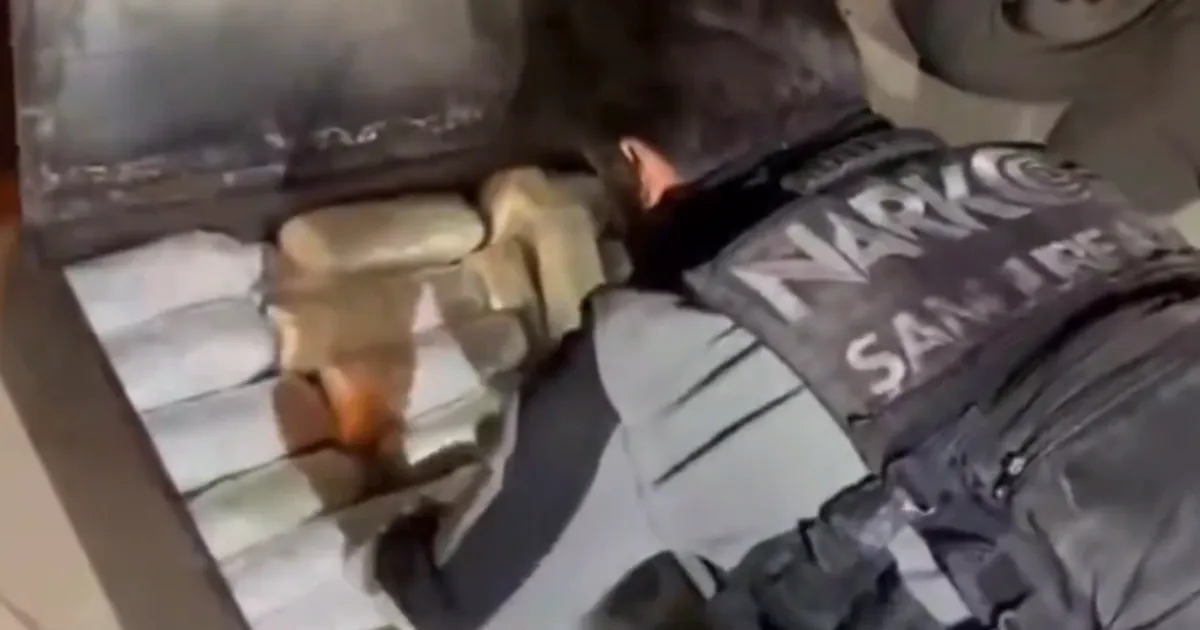 Şanlıurfa’da 20 kilogram skunk ele geçirildi