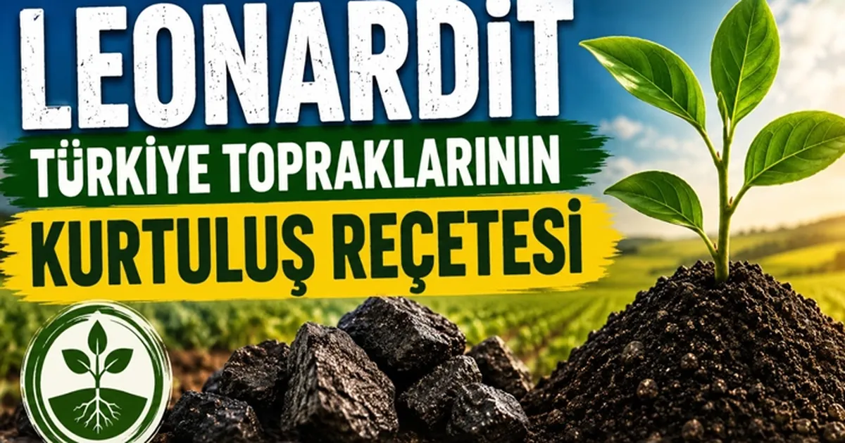 Türkiye tarımında yeni umut... Leonardit ile toprağın hafızası canlanıyor