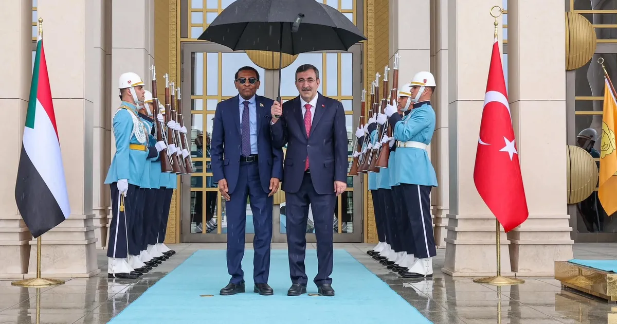 Türkiye-Sudan ilişkilerinde yeni dönem - Dünya Haberleri