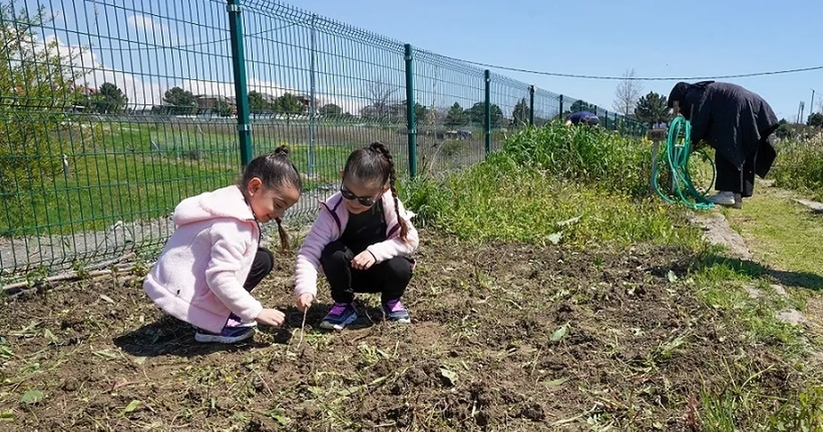 İstanbul Beylikdüzü'nde hobi bahçelerinde sezonun ilk mahsulleri
