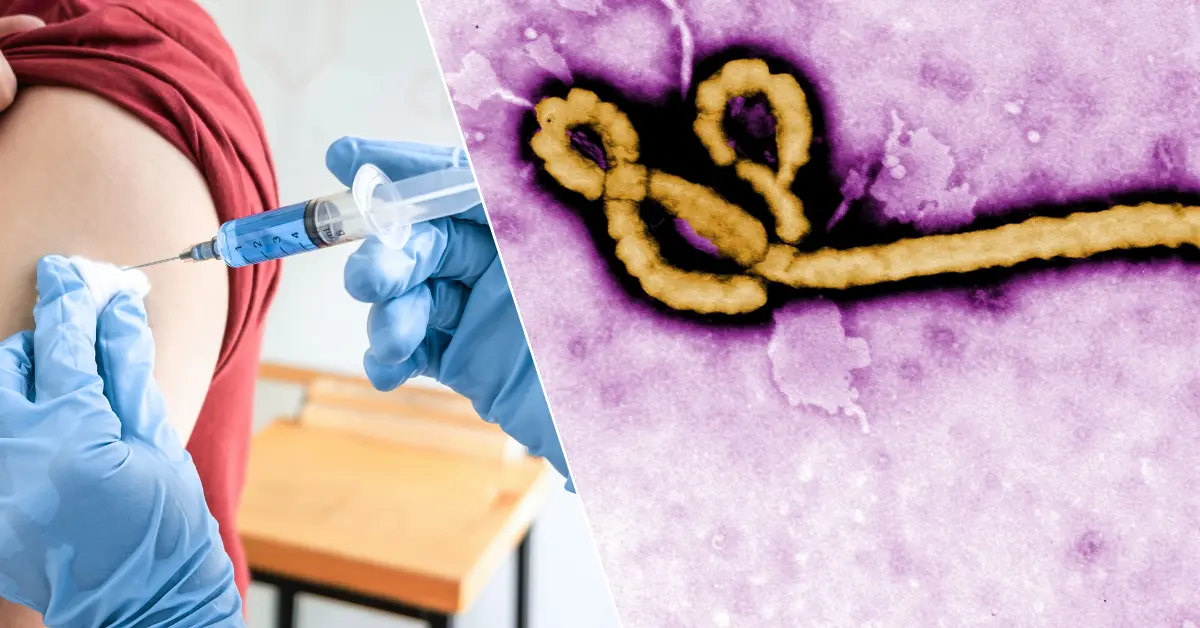 DSÖ’den Ebola uyarısı: "Aşı için 9 ay gerekebilir" - Sağlık Haberleri