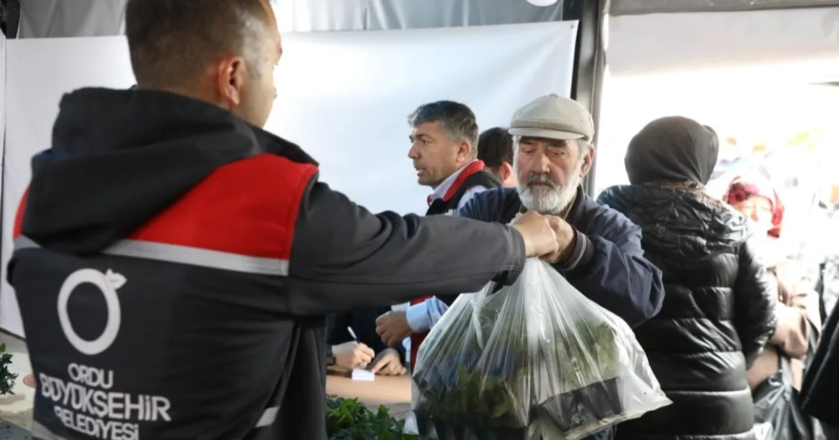 Ordu’da 300 bin yazlık sebze fidesi dağıtımı başladı