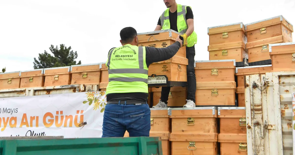 Ankara’da arıcılığa büyük destek