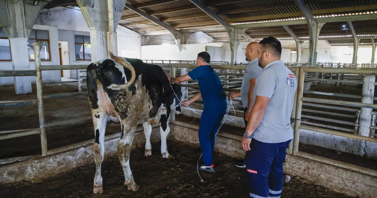 Antalya'da kurban yakalama timi göreve hazır
