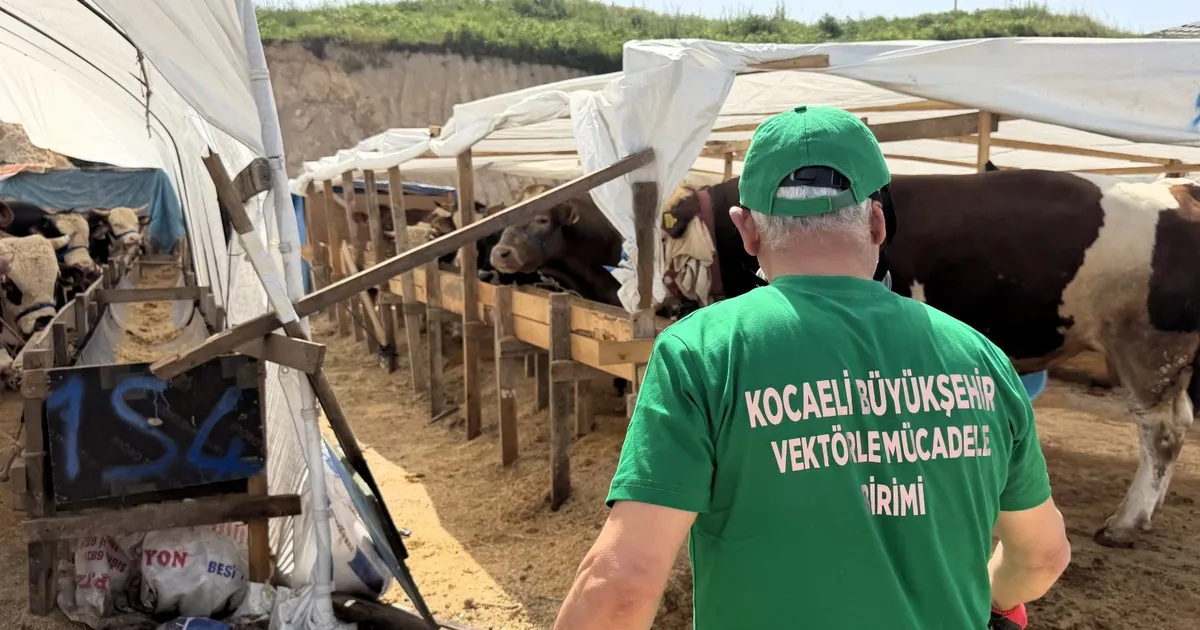 Kocaeli'de 4 ilçede kurban pazarları ilaçlanıyor - Gündem Haberleri