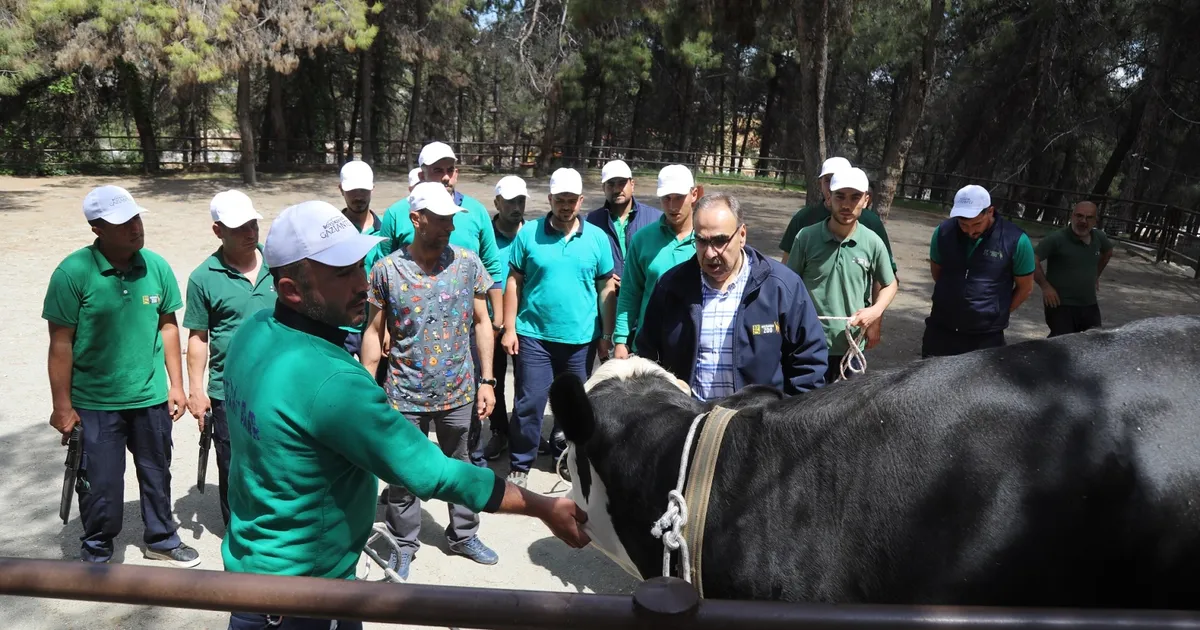 Gaziantep'te yakalama timi göreve hazır... Drone destekli yakalama timi