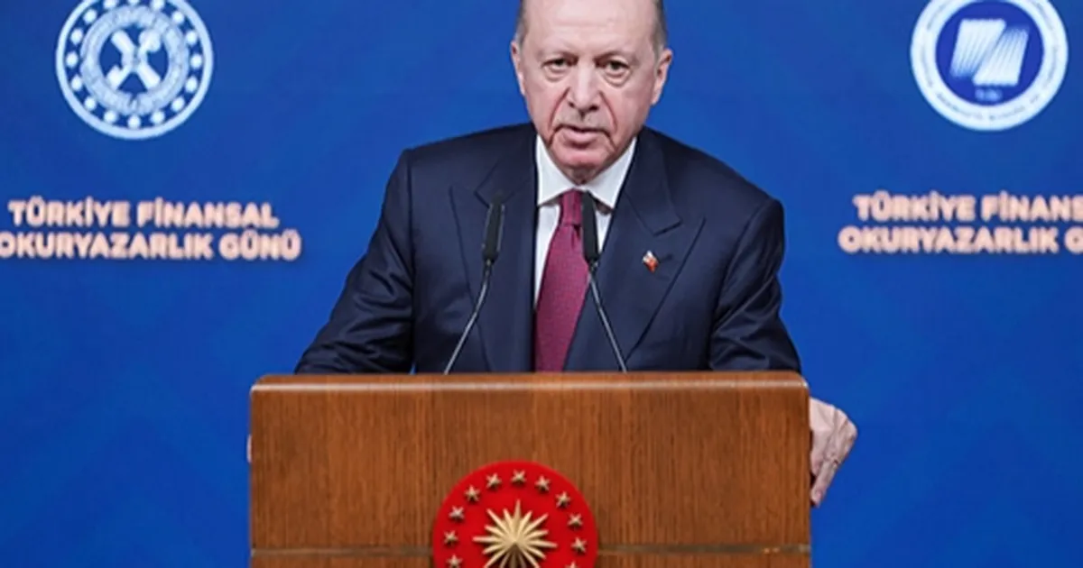 Erdoğan: Türkiye, bölgesinin güvenli limanıdır