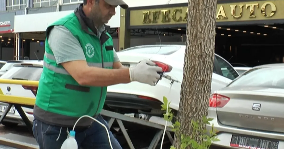 Kayseri Kocasinan'da ağaçlara sıkı koruma