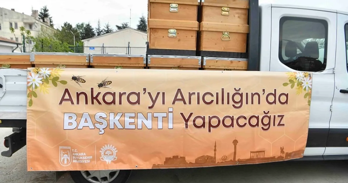 Ankara Büyükşehir'den arıcılara kovan desteği - Gündem Haberleri