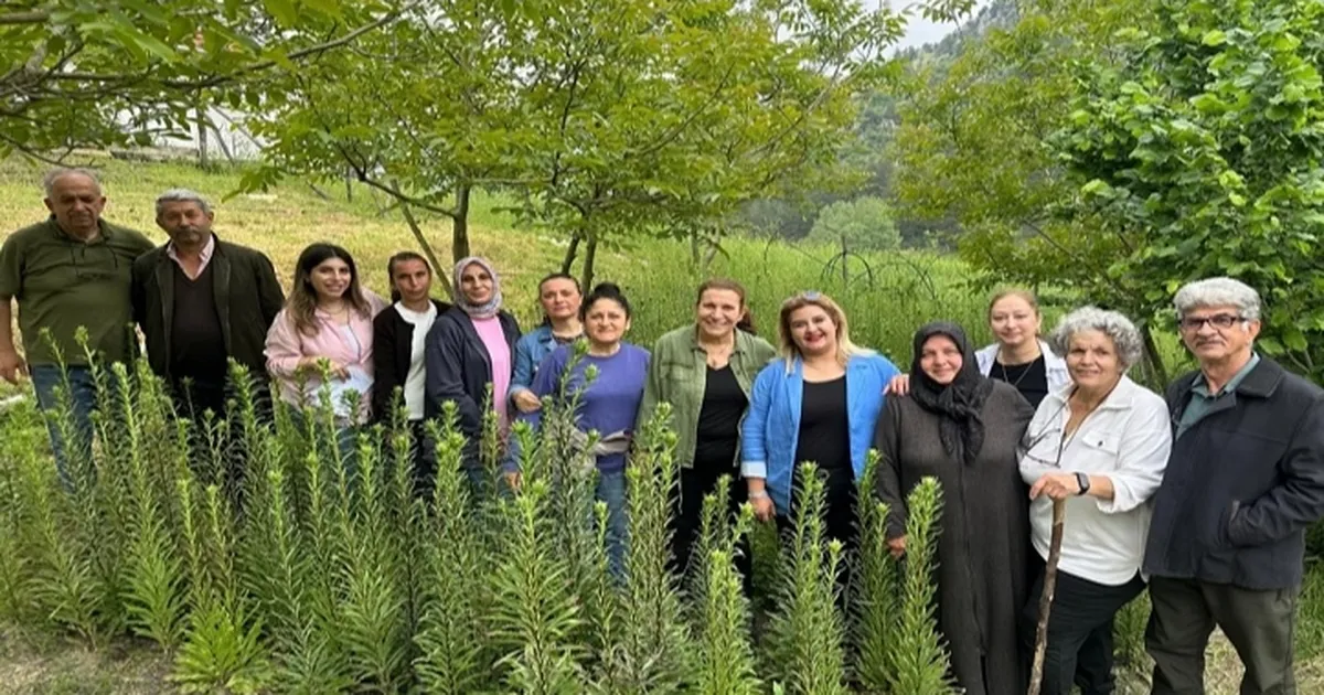 Ak Zambaklar gelişiyor, kadınlar güçleniyor - Gündem Haberleri