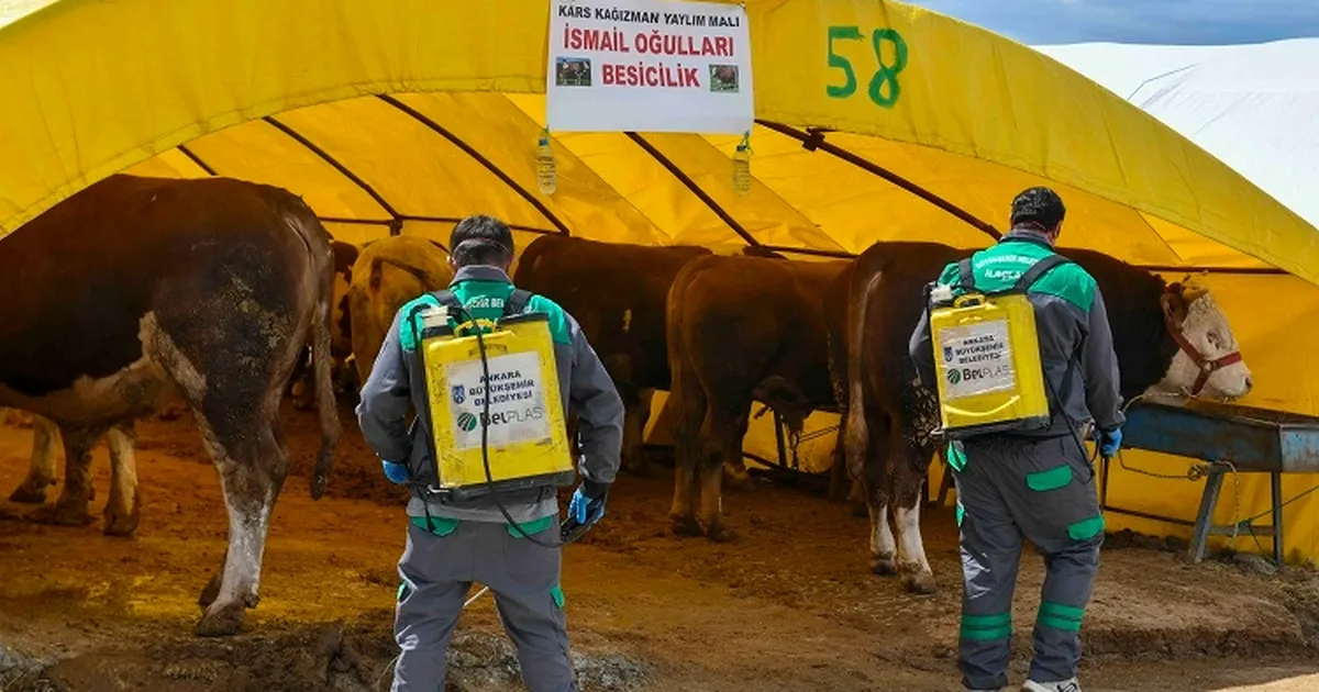 Başkent'te kurban alanlarına sıkı denetim - Gündem Haberleri