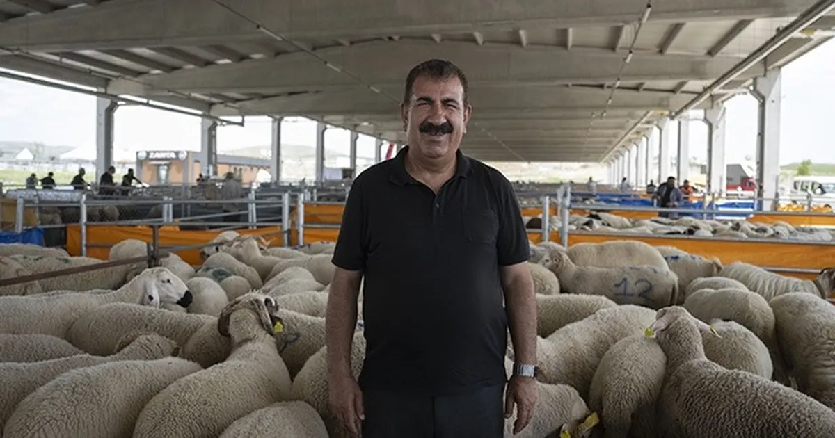 TÜRKYED'den kurbanlık uyarılar!