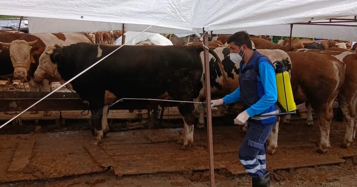 Trabzon’da kurban alanlarında hijyen seferberliği