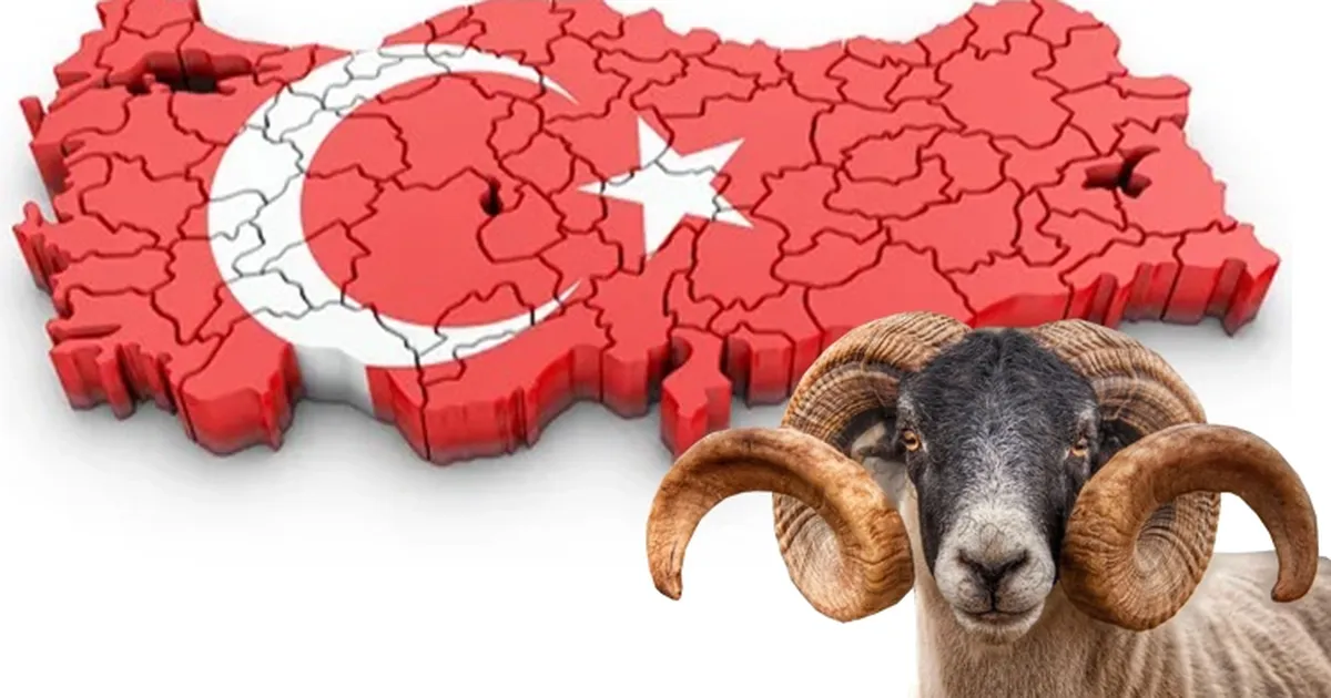 Yoğun gündeme bayram molası!