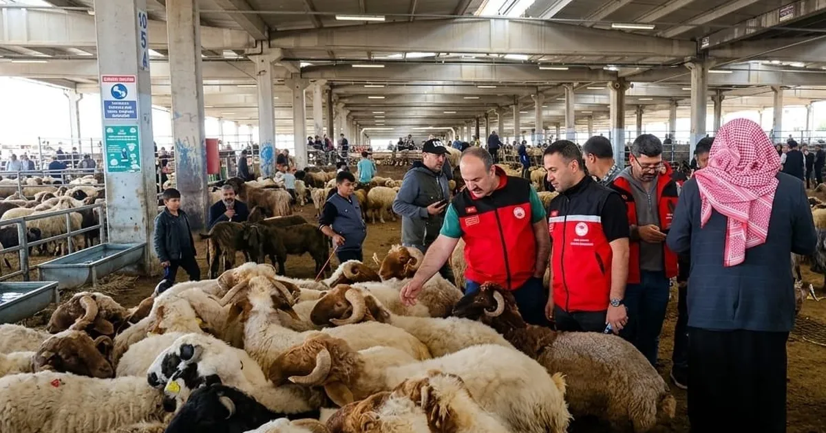 Kurban denetimleri 81 ilde sıkılaştırıldı