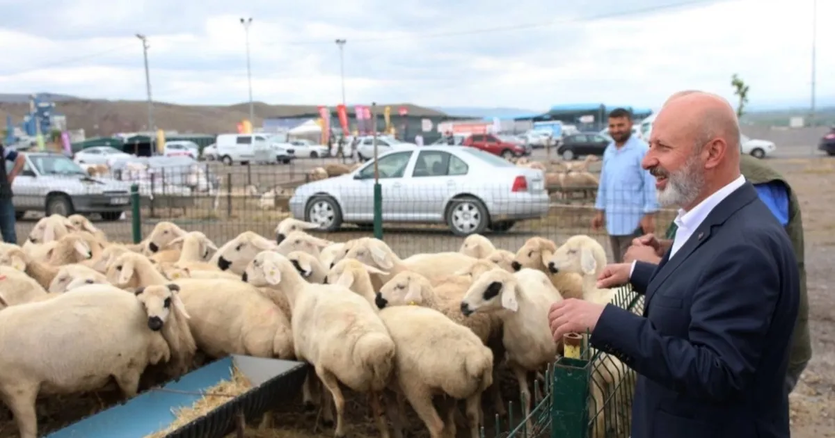 Kayseri Kocasinan'dan profesyonel kurban hazırlığı - Gündem Haberleri