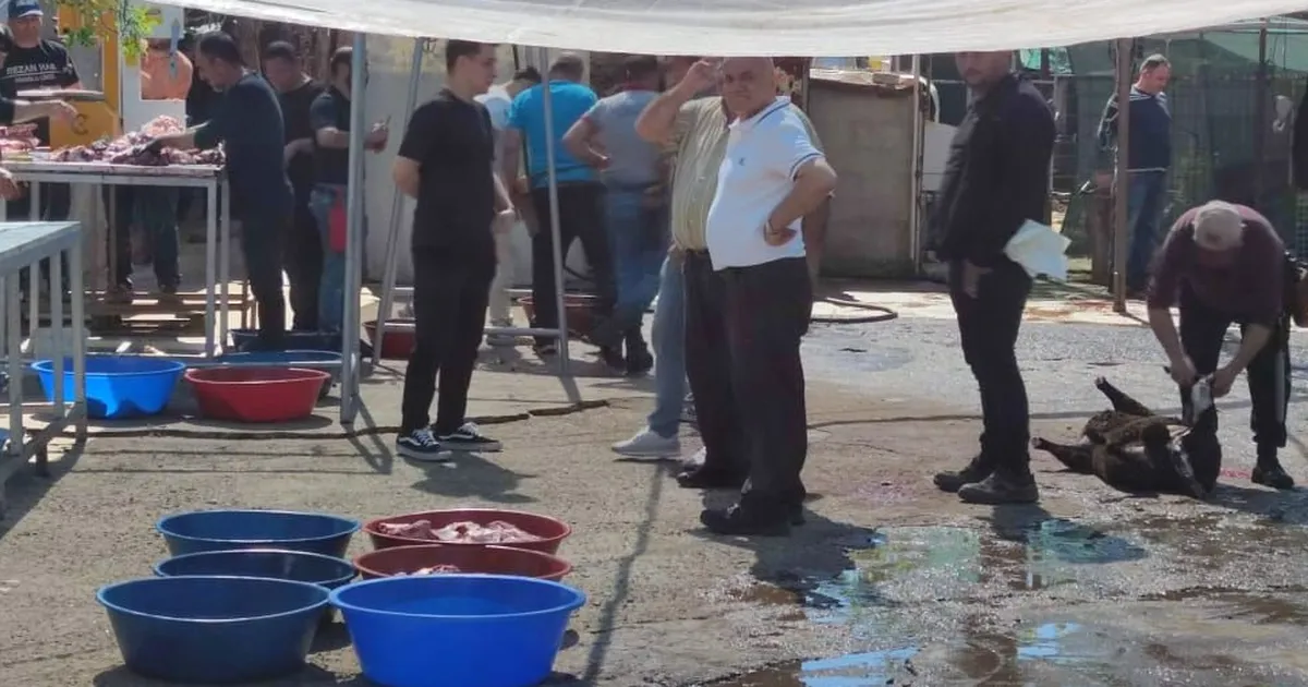 Maltepe’de kaçak kurban kesimine sıkı denetim