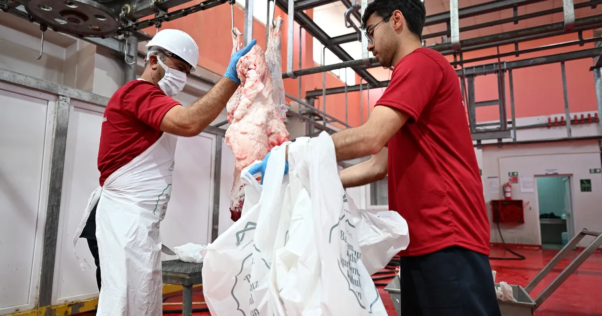 Mersin’de Kurban Bayramı’nda hijyenik kesim hizmeti