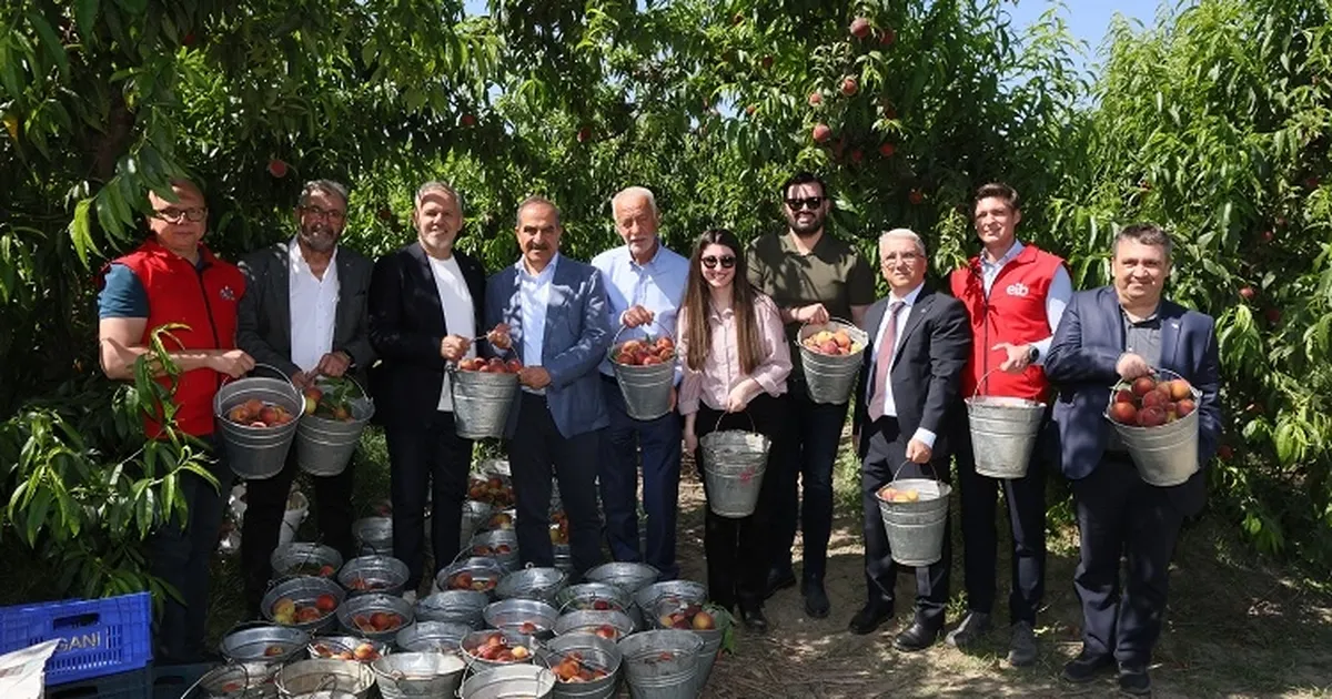 Şeftali ve nektarinde 250 milyon dolar ihracat hedefi - Ekonomi Haberleri